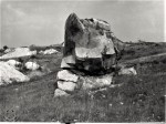 Písečný vrch u Bečova - křemence "sluňáky" byly rozesety po celém vrchu po milióny let než byly komunisty zničeny a odtěženy