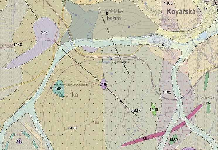 Vápenka u Kovářské - geologická mapa - tyrkysová čočka dolomitického vápence (zpracovávaný dolomitický vápenec - 1462), okolo horniny krystalinika - svory, ruly, kvarcity