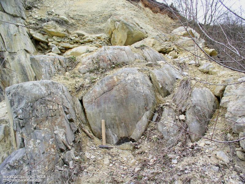 Skalka u Velimi - příbojová facie - pararuly - foto Pavel Bokr 