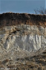 Písečný vrch u Bečova - těžené vrstvy sedimentárních jezerních písků, www.geology.cz/foto/21892