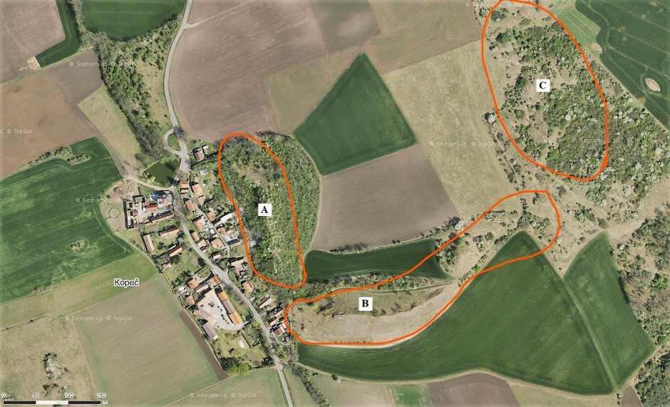 Kopeč - A - nepřístupná část lokality zarostlá houštím, nejvyšší bod lokality, B - přístupný řetězec vrcholků tvořeným třetihorním čedičem a vulkanoklastiky, C - vyvýšený starší vulkanický hřbet tvořený metabazaltem (neoproterozoikum) - ww.mapy.cz