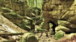Pivnická rokle - ve stěnách kaňonu jsou jeskyňky a tunely erodované vodou - foto Jarda Petrák - mapy.cz
