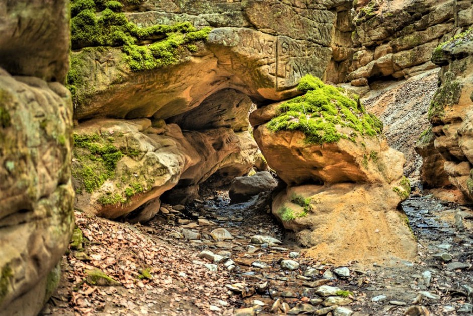 Pivnická rokle - ve stěnách a dně kaňonu jsou jeskyňky a tunely erodované vodou - foto Radek Vandra